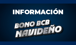 Bono Navideño