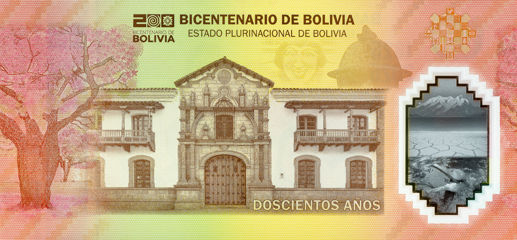 Reverso Billete
